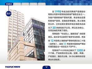 房地產(chǎn)咨詢服務(wù) 賦能決策，驅(qū)動價值